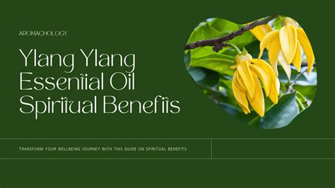 ylang ylang spiritual benefits.